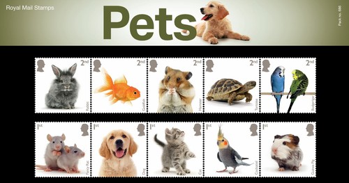 2026 pets confezione - gb,